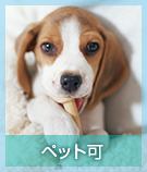 【賃貸特集】ペット可
